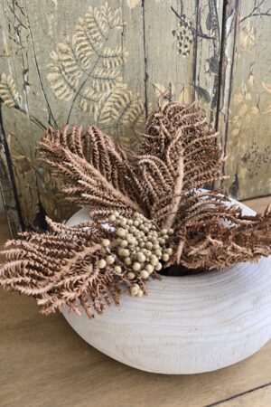 okosfrüchtezweig kokos früchte canella beeren zweige trockenblumen trockenfrüchte deko im mrs greenery shop kaufen bestellen