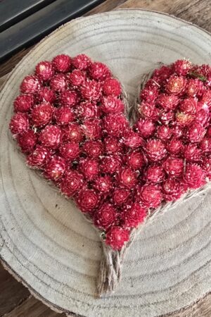 Alternative view of Muttertags-Herz rot