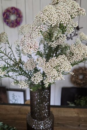 Reisblume Trockenblume Frischblume deko im mrs greenery shop kaufen bestellen