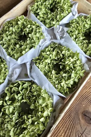 Kranz hortensienkranz Beerenkranz grün Herbstkranz Kränze im Mrs greenery shop bestellen kaufen