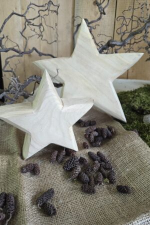 Stern Dekostern Holzstern Weihnachtsdeko Adventsdeko im Mrs greenery shop bestellen kaufen