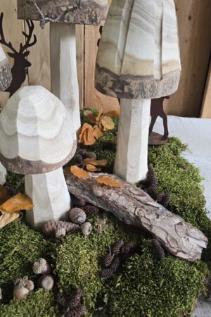 Erle Erlenzapfen getrocknet Weihnachtsdeko Adventsdeko im Mrs greenery shop bestellen kaufen