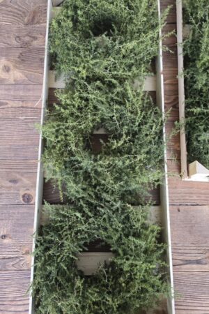 Asparagus Kranz 30cm – Bild 3