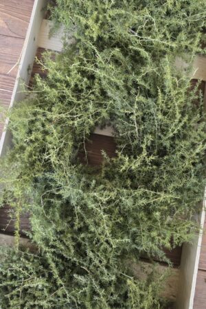 Asparagus Kranz 30cm