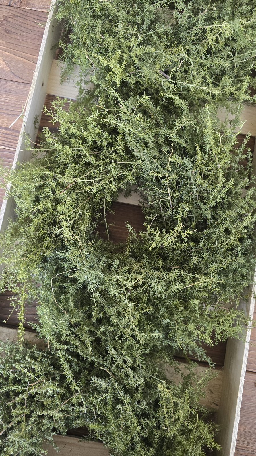 Asparagus Kranz 30cm