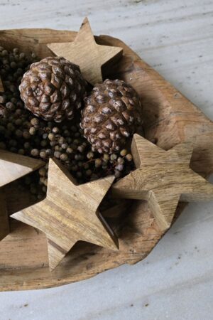 Holz-Stern 10cm